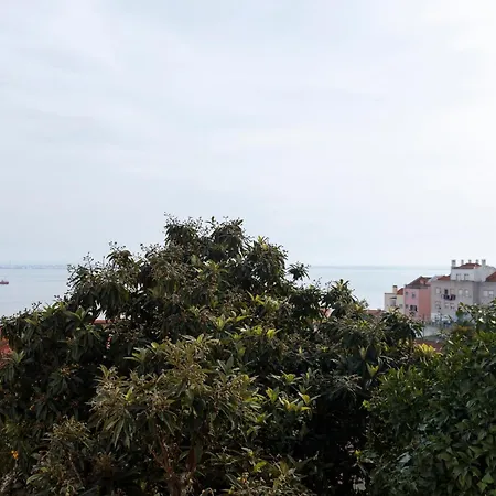 Barbadinhos In Historic Neighborhood *