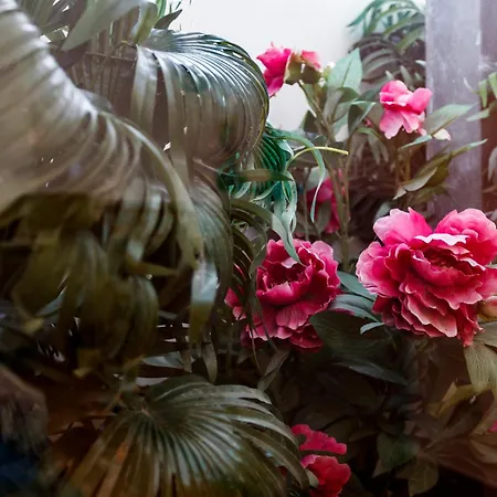 Barbadinhos In Historic Neighborhood דירה *